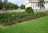 Фотография с Цветущей планеты 1