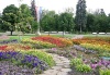 Фотография с Цветущей планеты 2