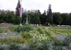 Фотография с Цветущей планеты 6